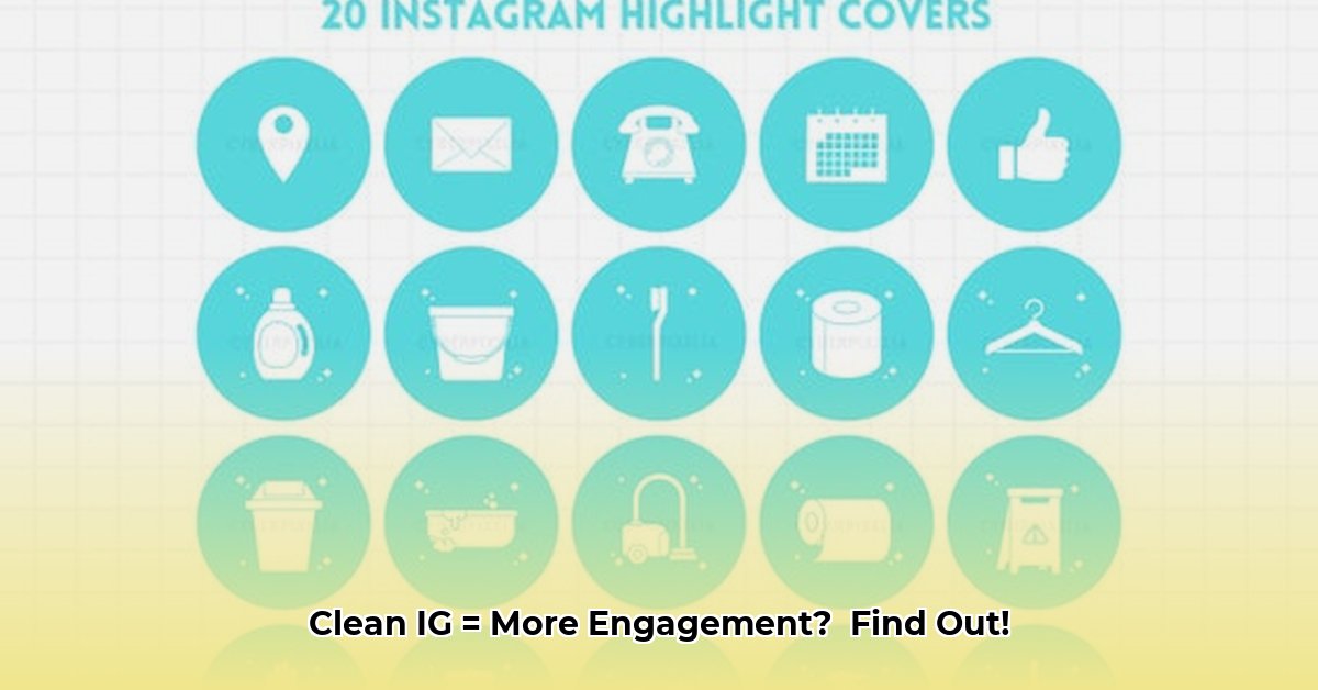 cleaner-for-ig